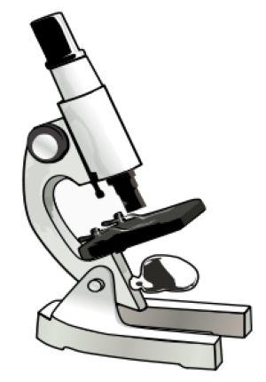 mikroskopo