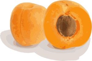 abrikoto