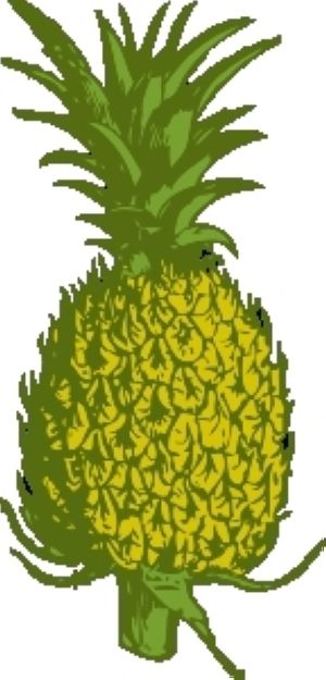 ananaso